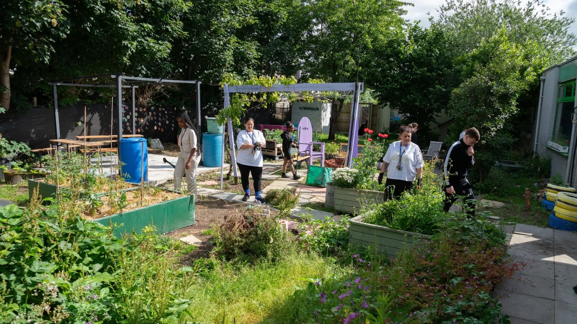 Students and staff working in the school garden on a sunny day, among raised beds, water butts and a purple pergola.